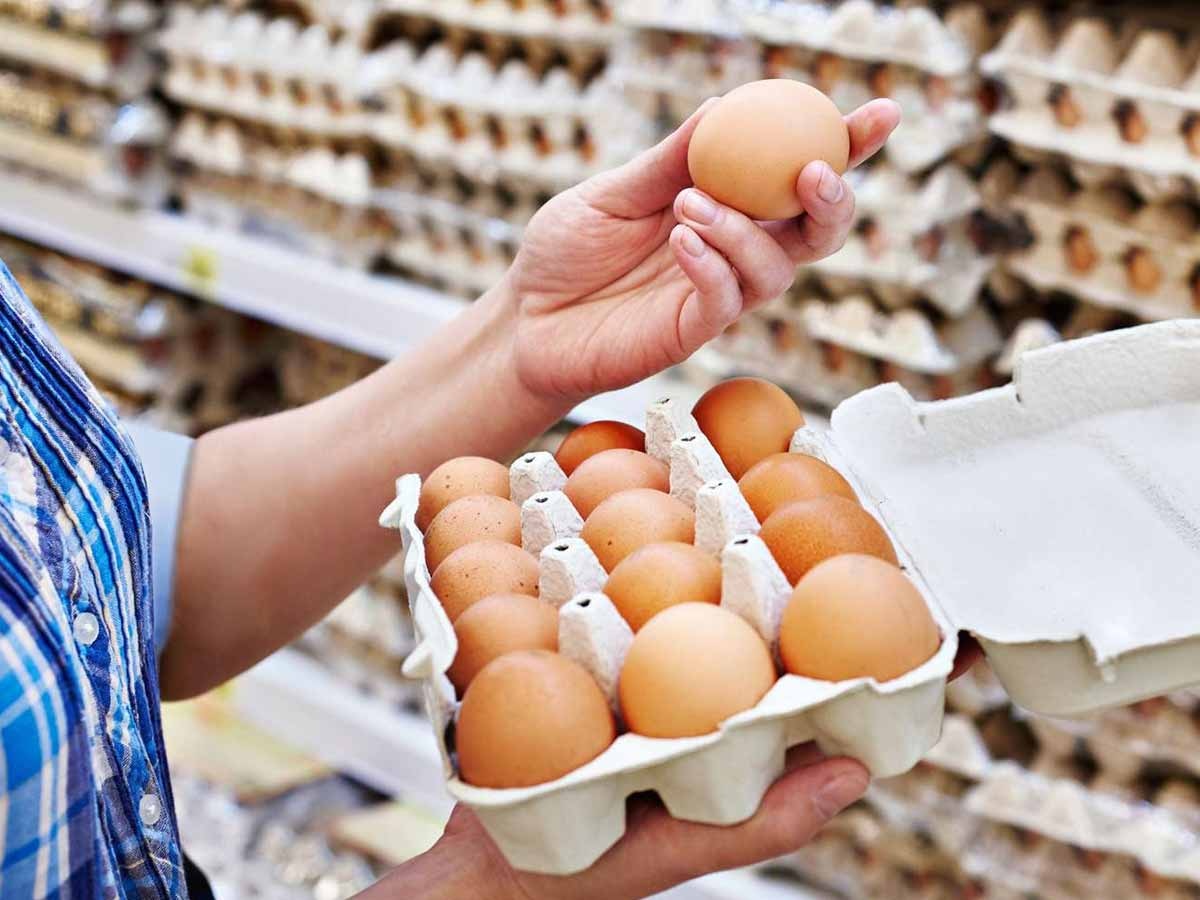 Egg Price: सब्‍ज‍ियों के बाद अंडे के रेट में भी लगी आग, 25 प्रत‍िशत बढ़कर यहां पहुंचे दाम