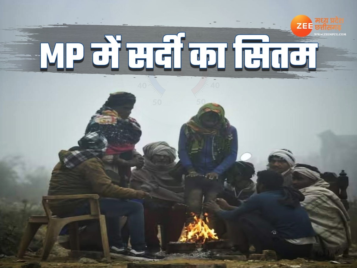 weather report Severe cold in MP cold wave alert in districts including ...