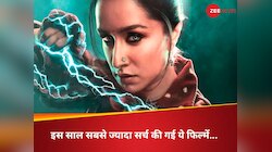 'स्त्री 2' से 'हीरामंडी' तक..ये हैं 2024 में गूगल पर सर्च की जाने वाली फिल्में-सीरीज