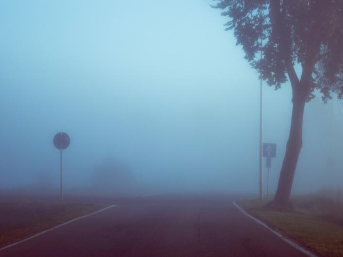 Rajasthan Weather Update: ठंड से ठिठुर रहा राजस्थान, सर्द हवा के किटकिटा रहे दांत, सीकर में माइनस में पहुंचा तापमान Rajasthan Weather Update: ठंड से ठिठुर रहा राजस्थान, सर्द हवा के किटकिटा रहे दांत, सीकर में माइनस में पहुंचा तापमान