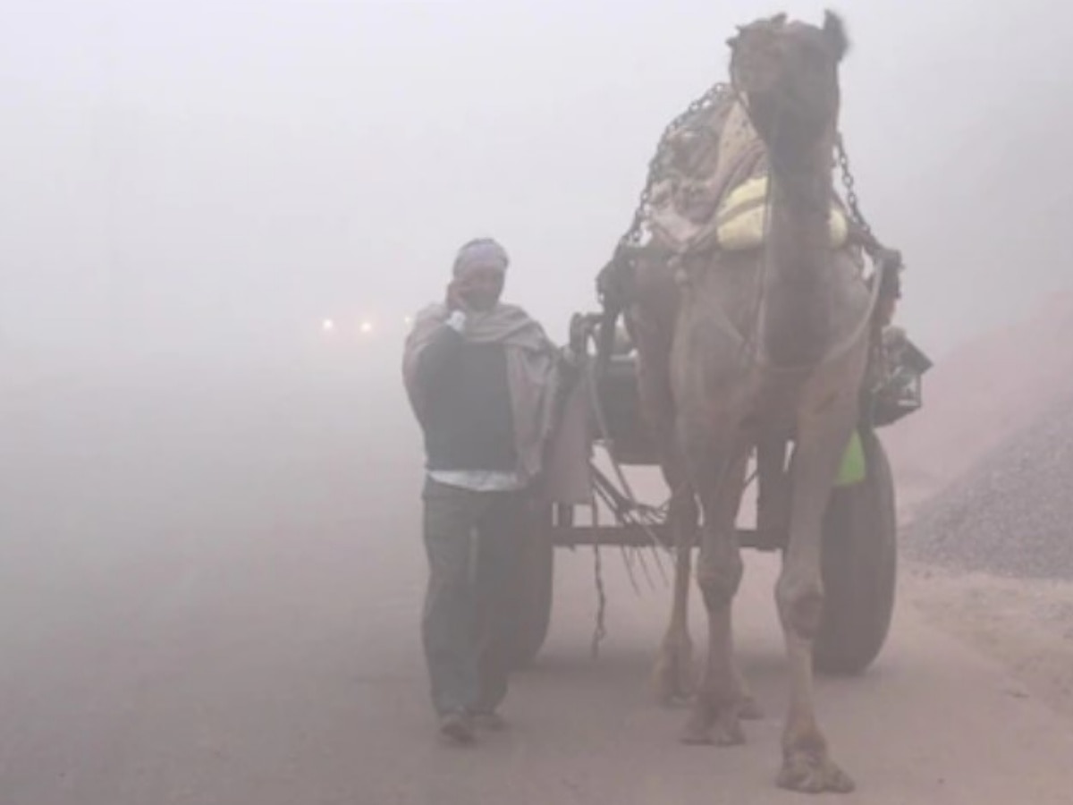 Rajasthan Weather Update: राजस्थान की ठंड से एक ने गवांई जान, माइनस 1 डिग्री तक पहुंचा तापमान