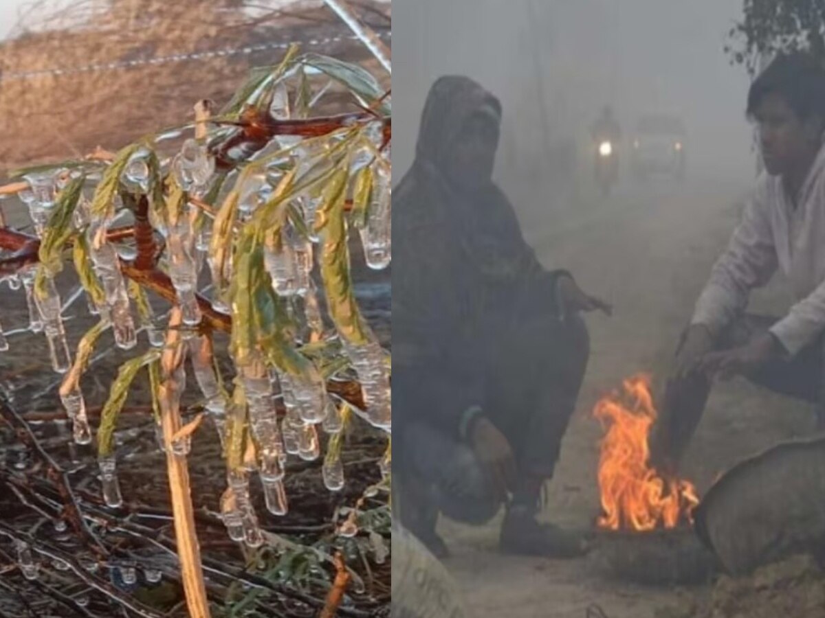 Rajasthan Weather Update: राजस्थान में सर्द हवाओं के चलते माइनस में पहुंचा पारा, मौसम विभाग ने जारी किया अलर्ट