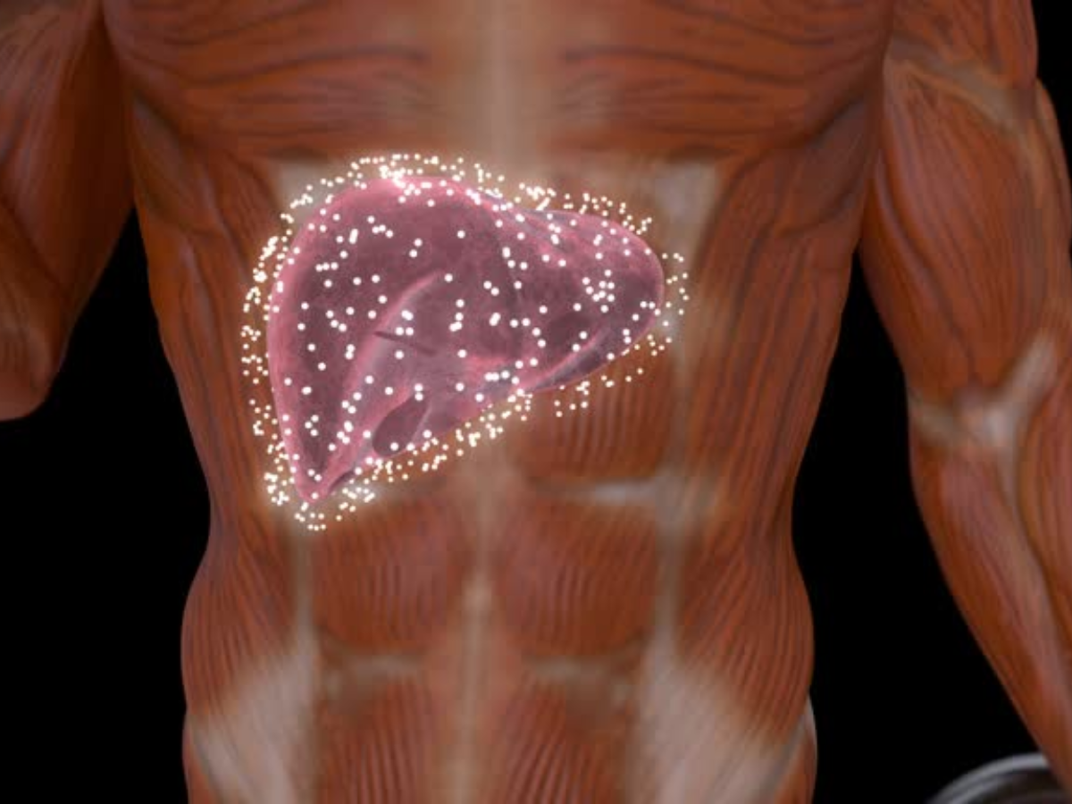 लिवर को सड़ा देती है ये बीमारी, आंखों में पीलापन समेत दिखते हैं ये लक्षण, न करें इग्नोर... 12 कैसे होता है लिवर सिरोसिस