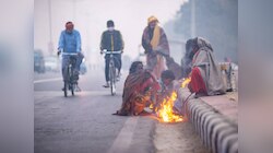 सर्द हवाओं की गिरफ्त्त में राजस्थान, जयपुर से लेकर उदयपुर में धुंध और ठिठुरन 