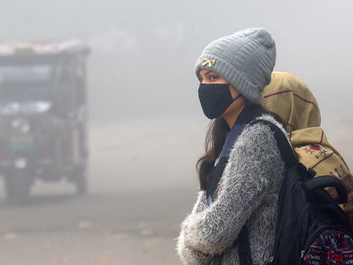 Rajasthan Weather Update: बर्फीली हवा से ठिठुर रहा राजस्थान, सीकर से लेकर चुरू तक जम रही बर्फ, माइनस में पहुंच रहा प्रदेश का तापमान 