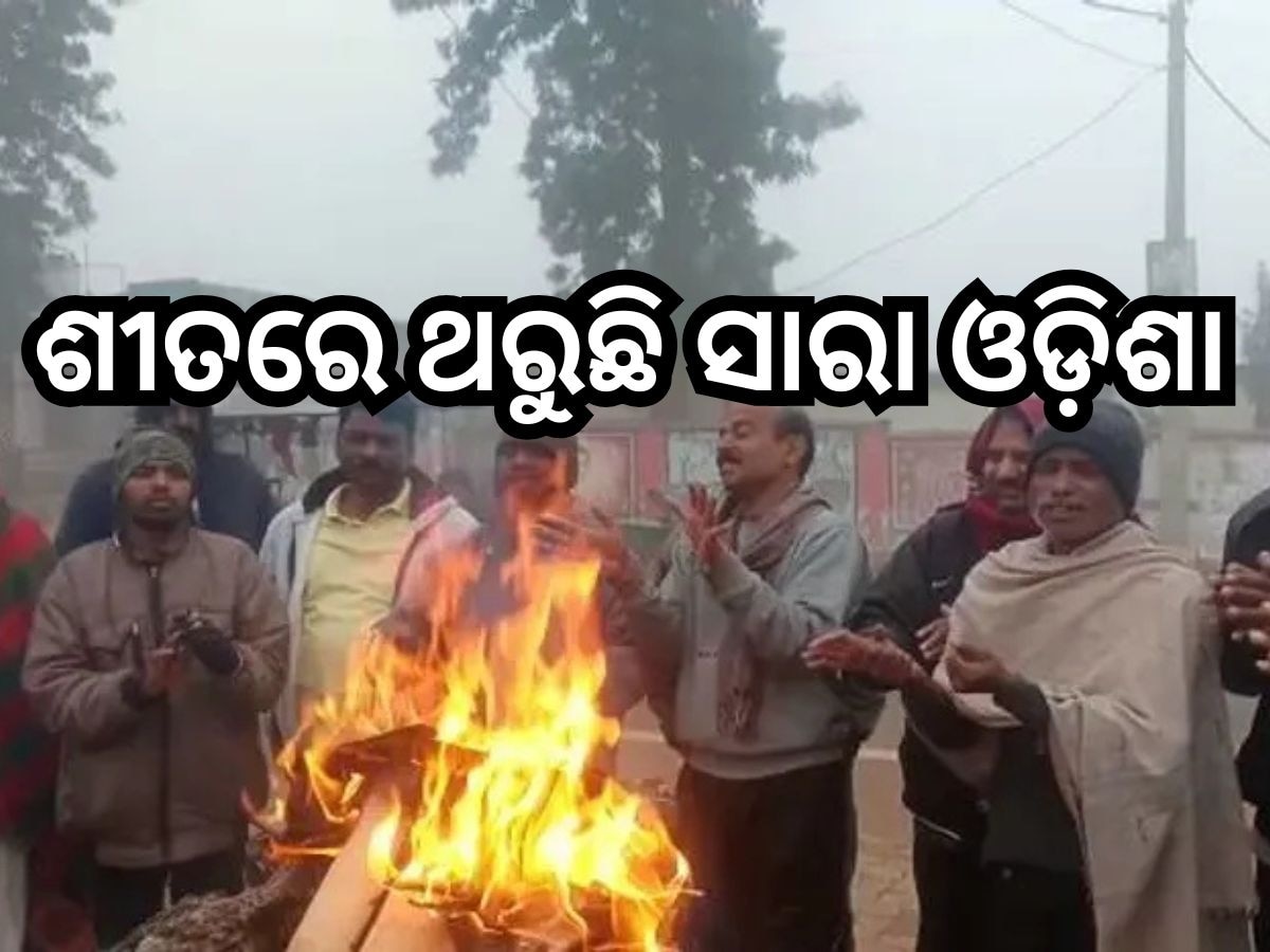 Weather Update: ଶୀତରେ ଥରୁଛି ସାରା ଓଡିଶା, ଆସନ୍ତା ଦୁଇ ଦିନ ପର୍ଯ୍ୟନ୍ତ ଜାରି ରହିବ ଘନ କୁହୁଡ଼ି