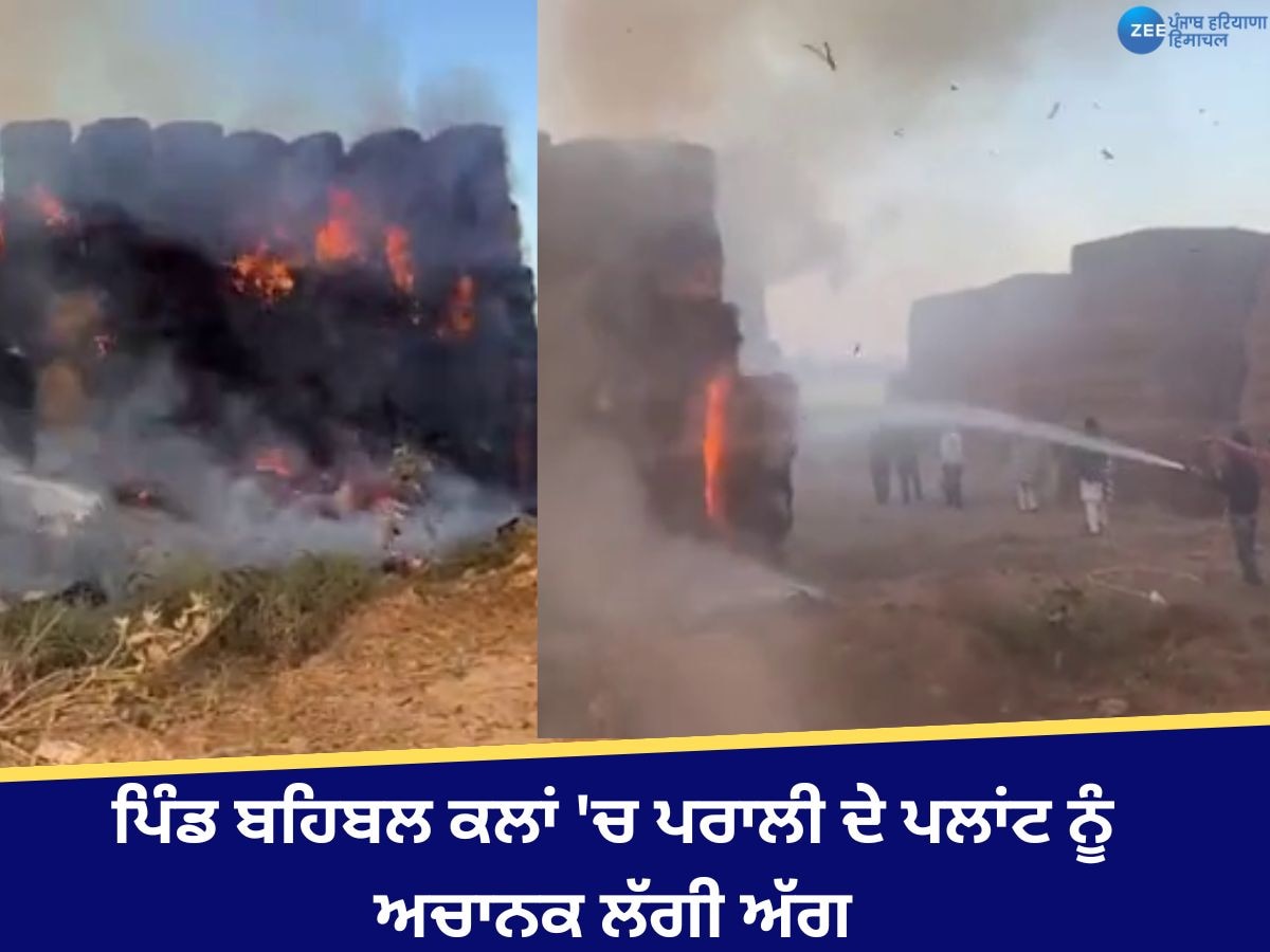 Kotkapura News: ਕੋਟਕਪੂਰਾ ਦੇ ਨੇੜਲੇ ਪਿੰਡ ਬਹਿਬਲ ਕਲਾਂ 'ਚ ਪਰਾਲੀ ਦੇ ਪਲਾਂਟ ਨੂੰ ਅਚਾਨਕ ਲੱਗੀ ਅੱਗ