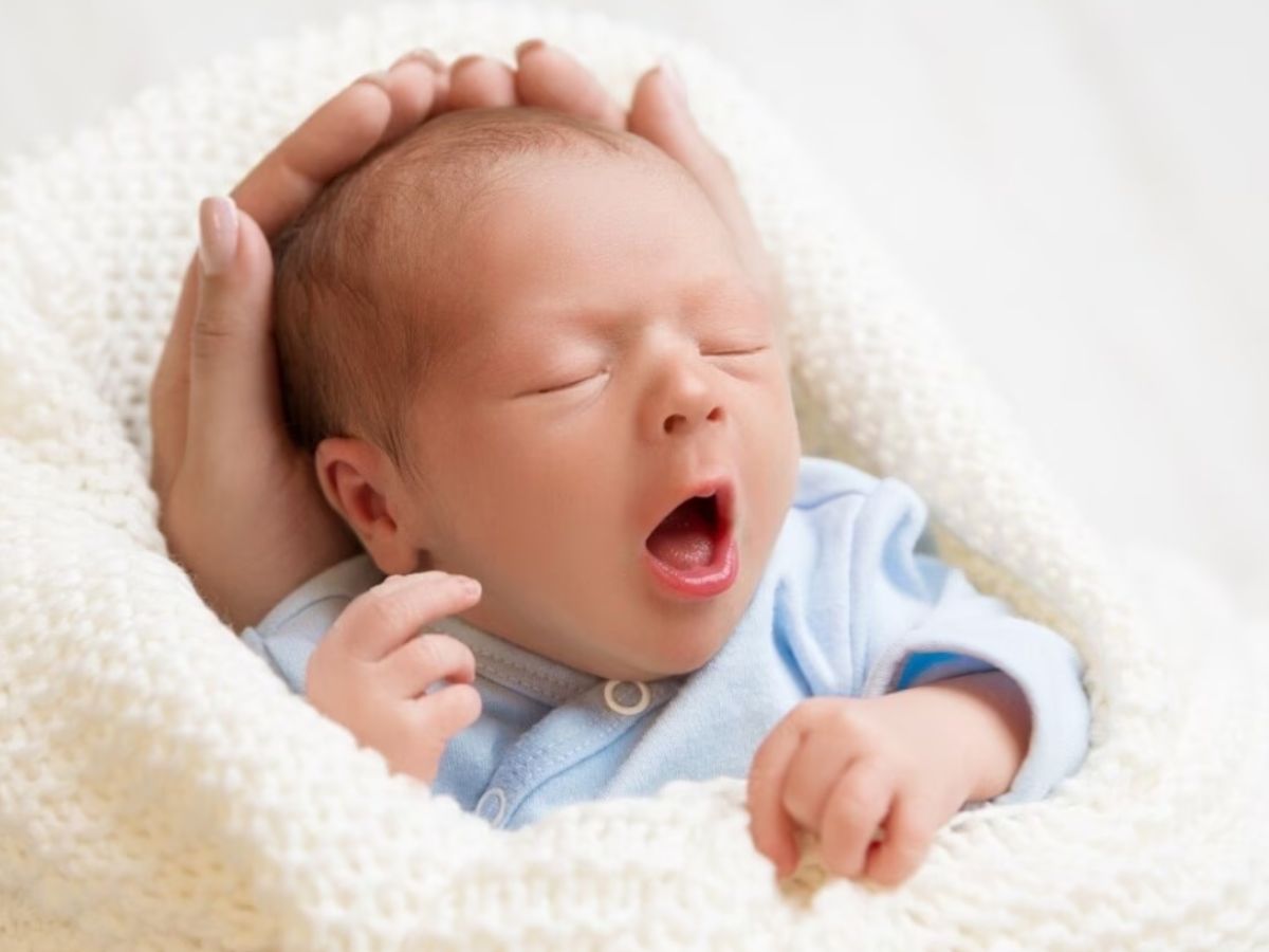 Lado Protsahan Yojana : राजस्थान में इस तारीख को जन्मी बेटियों को भजन लाल सरकार देगी एक लाख, ऐसे ले सकते हैं लाभ