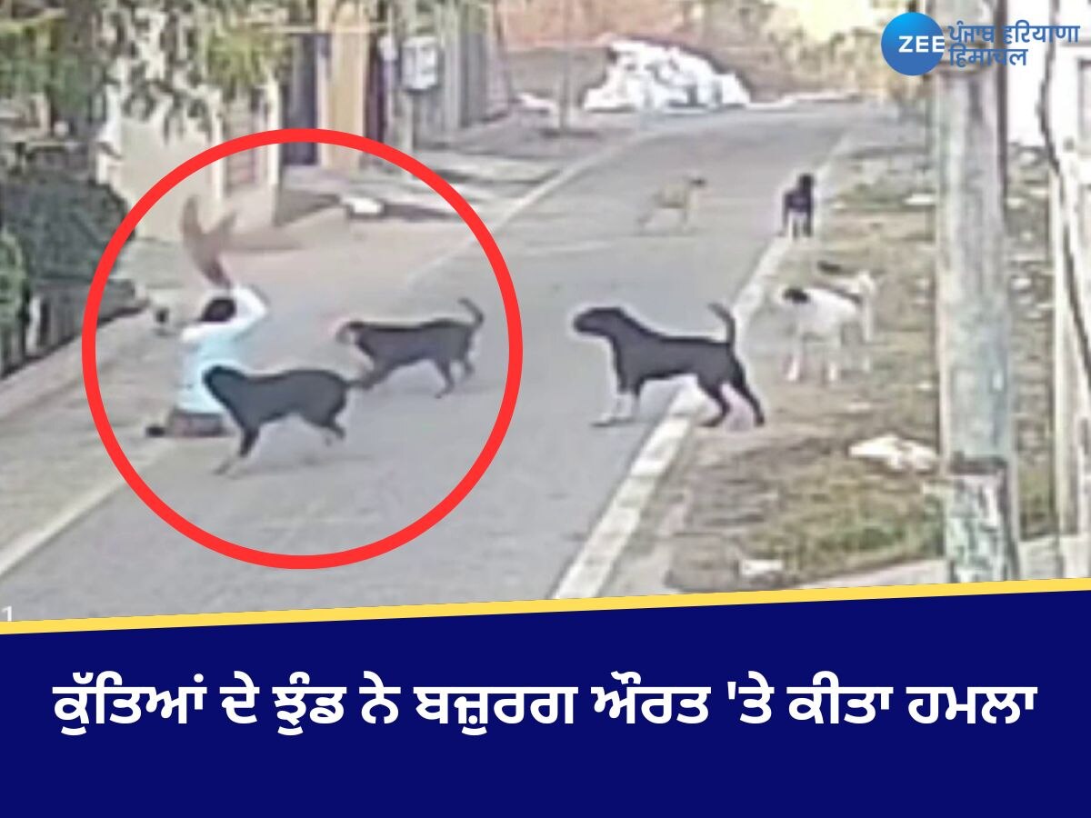 Jalandhar News: ਕੁੱਤਿਆਂ ਦੇ ਝੁੰਡ ਨੇ ਬਜ਼ੁਰਗ ਔਰਤ 'ਤੇ ਕੀਤਾ ਹਮਲਾ, ਰੌਂਗਟੇ ਖੜ੍ਹੇ ਕਰਨ ਵਾਲੀ ਵੀਡੀਓ ਆਈ ਸਹਾਮਣੇ