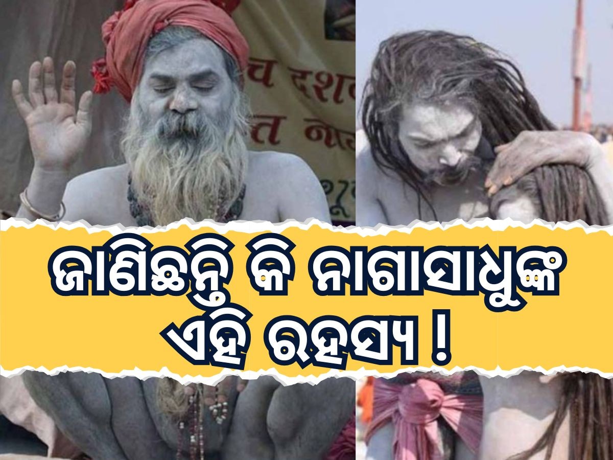 Naga Sadhu: ଜାଣିଛନ୍ତି କି ନାଗା ସାଧୁଙ୍କ ଏହି ରହସ୍ୟ, କେବେ ଓ କାହିଁକି ଧାରଣ କରନ୍ତି ଏହି ବେଶ