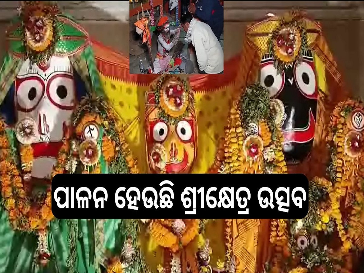 Odisha News: ସିଦ୍ଧ ବାରଙ୍ଗ ପୀଠରେ ପାଳନ ହେଉଛି ଶ୍ରୀକ୍ଷେତ୍ର ଉତ୍ସବ