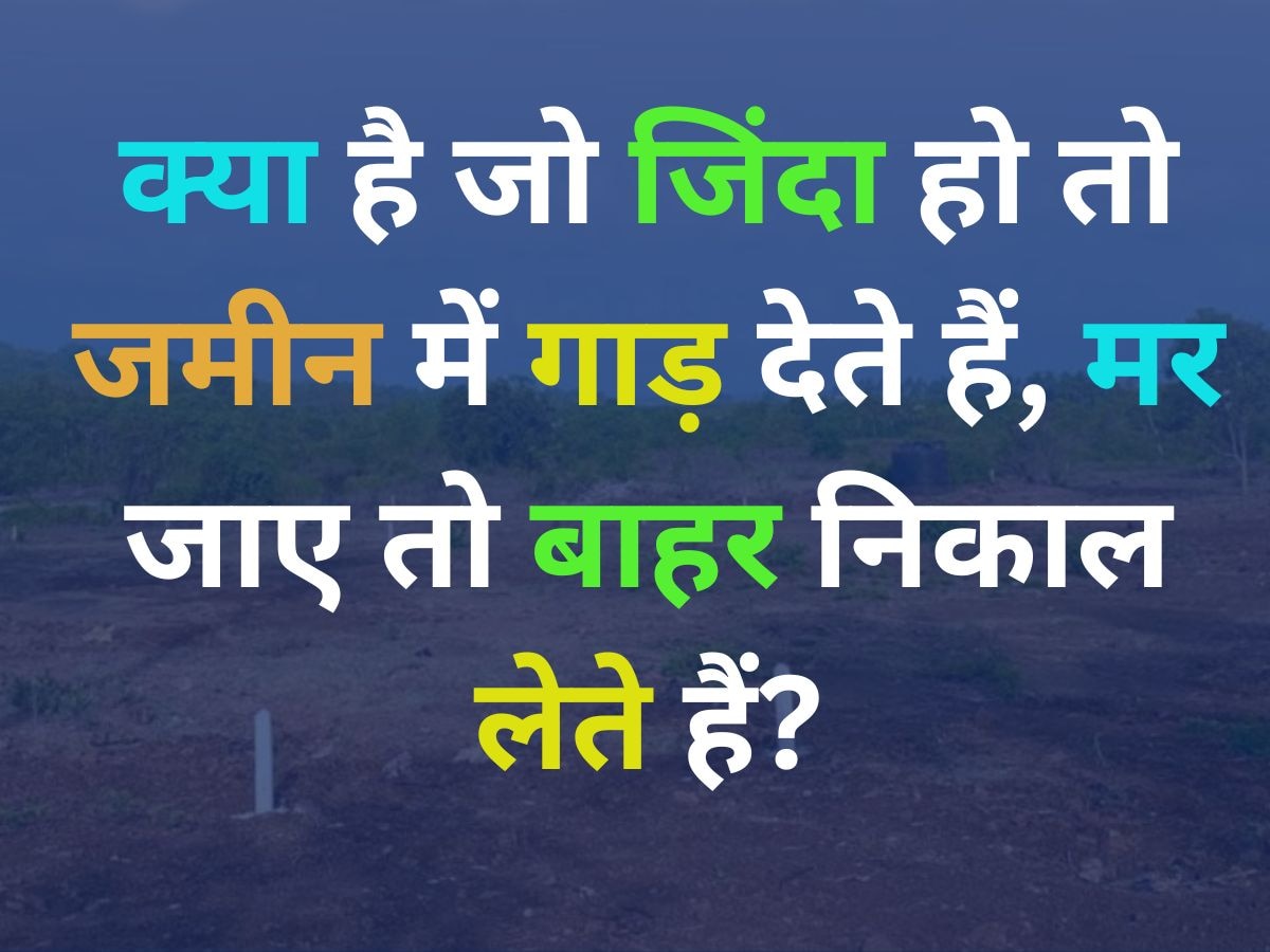 GK Quiz: वो कौन है, जिसे जिंदा रहने पर जमीन में गाड़ दिया जाता है और मरने पर बाहर निकालना पड़ता है?