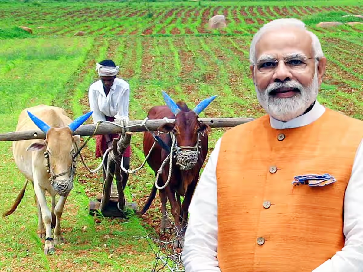 pm kisan yojana