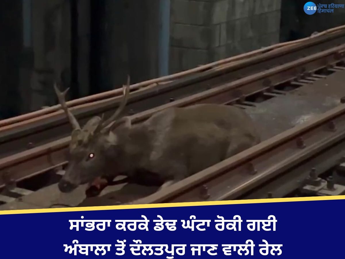 Nangal News: ਸਾਂਭਰਾ ਨੇ ਡੇਢ ਘੰਟਾ ਰੋਕੀ ਅੰਬਾਲਾ ਤੋਂ ਦੌਲਤਪੁਰ ਜਾਣ ਵਾਲੀ ਰੇਲ 