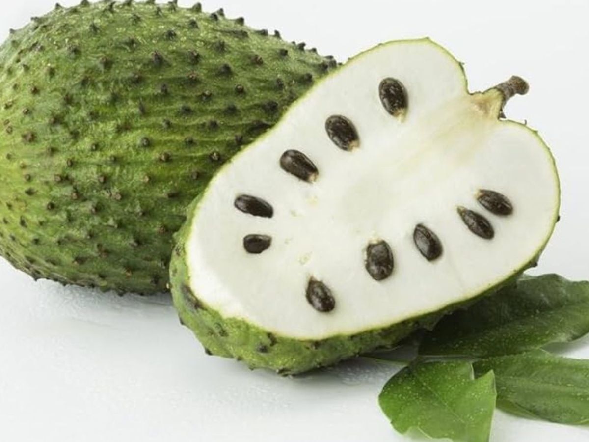 Soursop फल से क्या कैंसर का इलाज संभव है? सोशल मीडिया पर वायरल हो रहे इस दावे की जानें सच्चाई