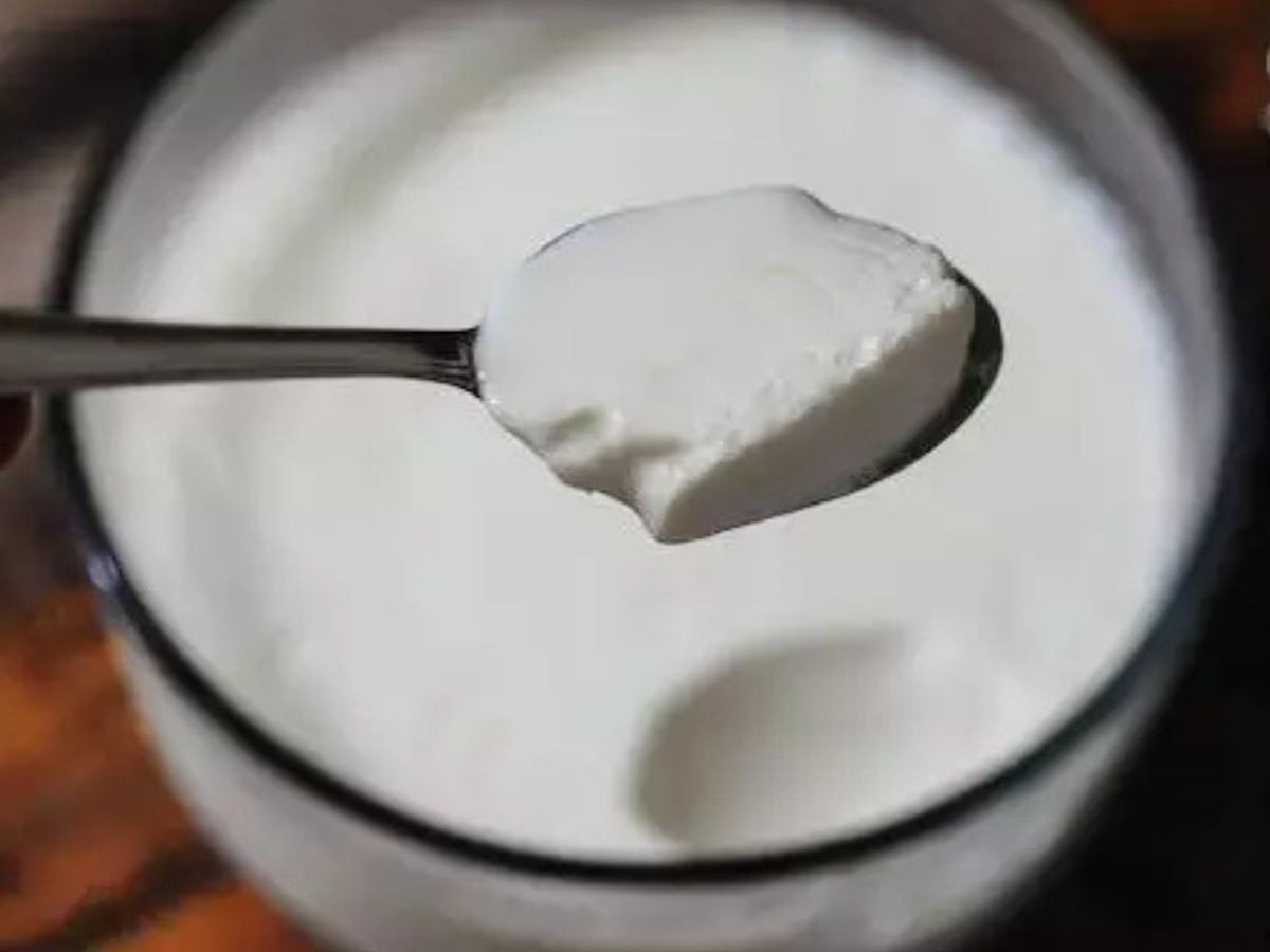 Curd In Winter: क्या ठंड में दही खाना फायदेमंद होता है या नहीं? जानें आयुर्वेद और एक्सपर्ट्स की राय