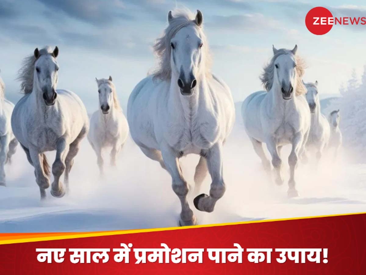 Vastu Tips on Horses Picture: नए साल में इंक्रीमेंट के साथ मिलेगा प्रमोशन! घर में लगा लें सफेद घोड़ों की ये तस्वीर, जान लें सही दिशा