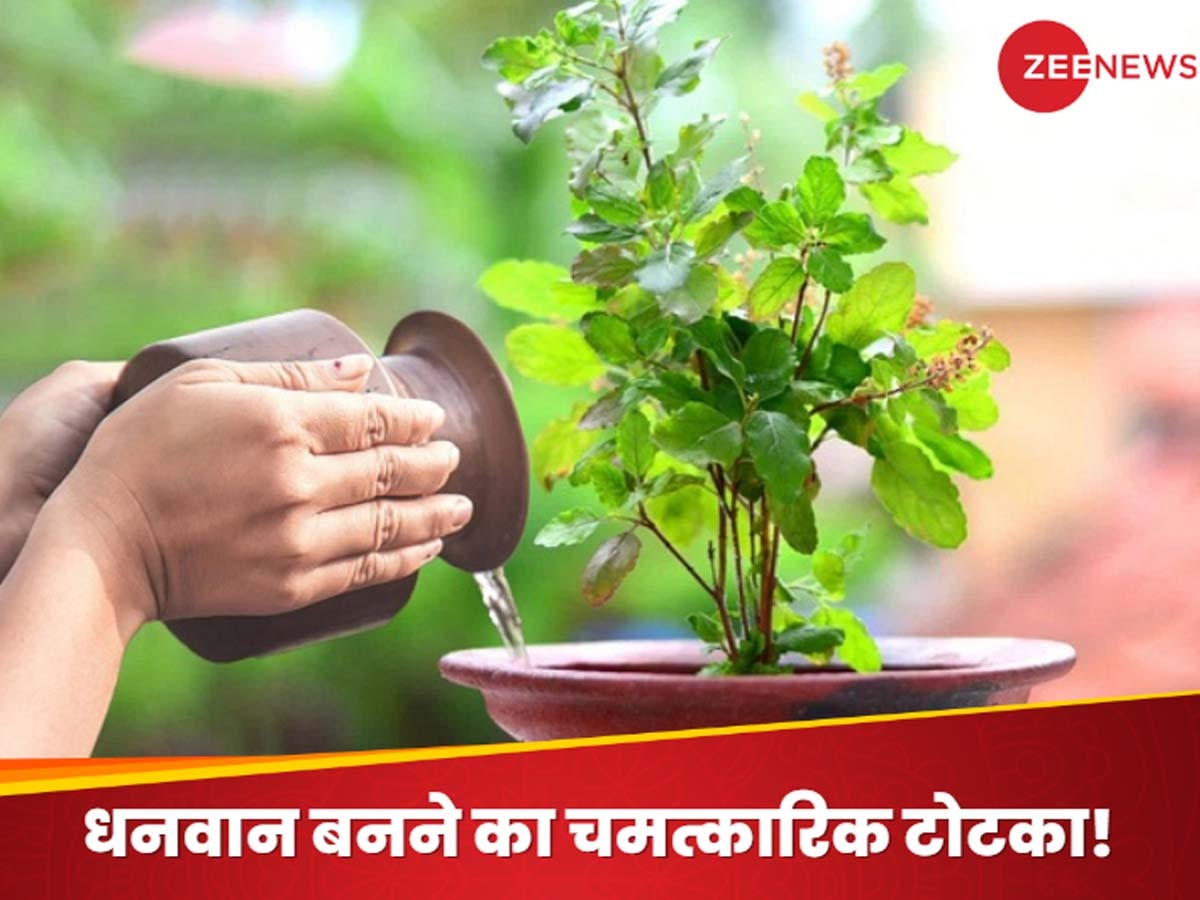 Tulsi ke Totke in Hindi: लोटे के जल में ये सफेद चीज मिलाकर तुलसी को करने लगें अर्पण, कुछ ही दिनों में हो जाएंगे मालामाल; पड़ोसी भी पूछेंगे 'अमीरी' का राज