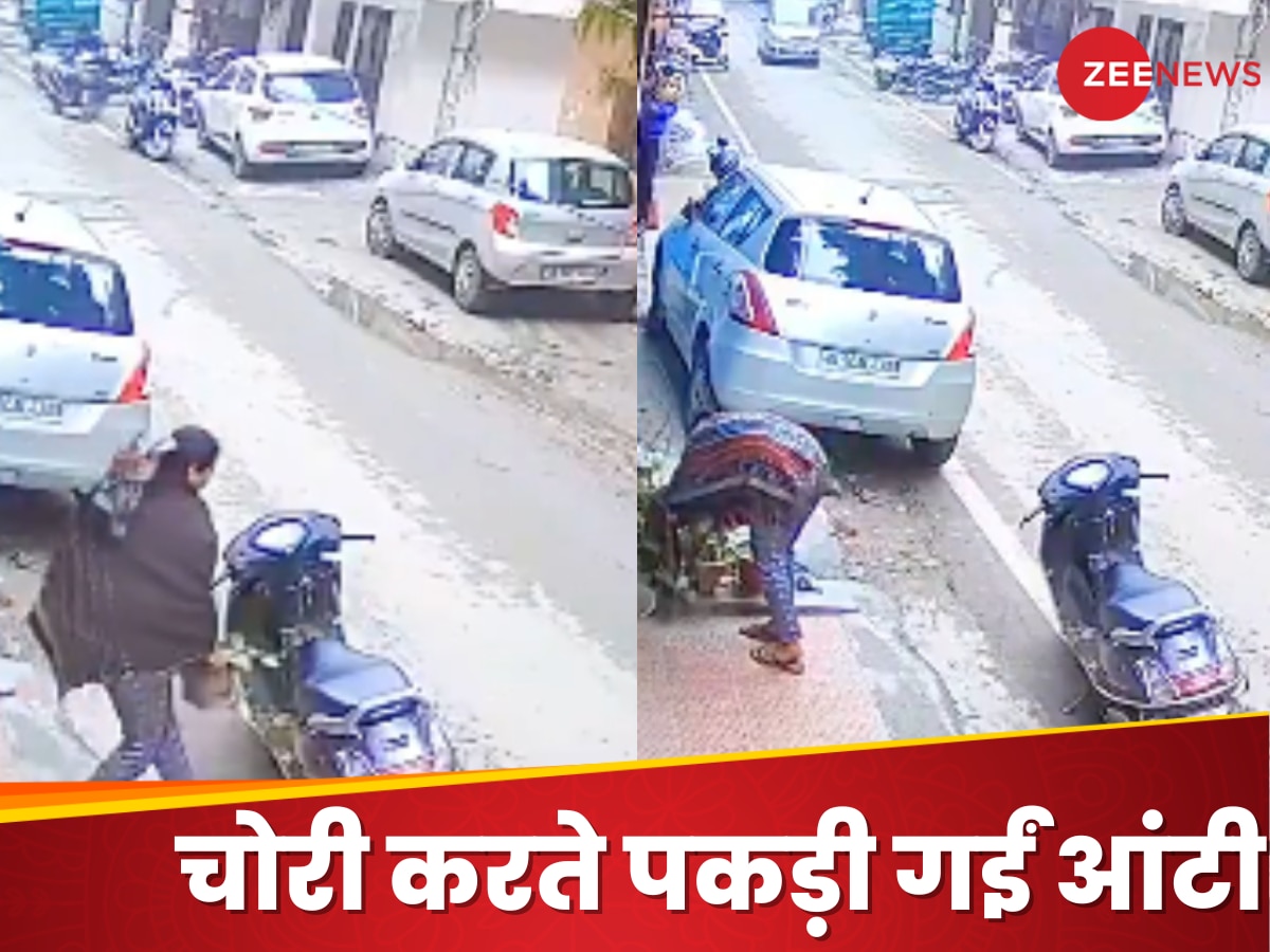 दिनदहाड़े गमला लेकर भागीं 'आंटी', CCTV में कैद, वीडियो देख लोग बोले- आखिर ये किसकी मां हैं?