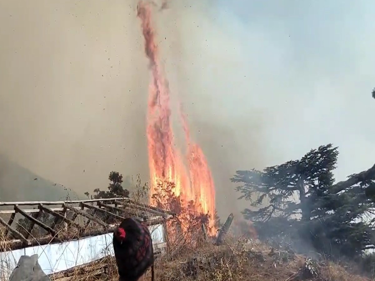 Forest Fire News: कुल्लू के जंगलों में लगी भीषण आग, हर तरफ फैला धुआं ही धुआं  