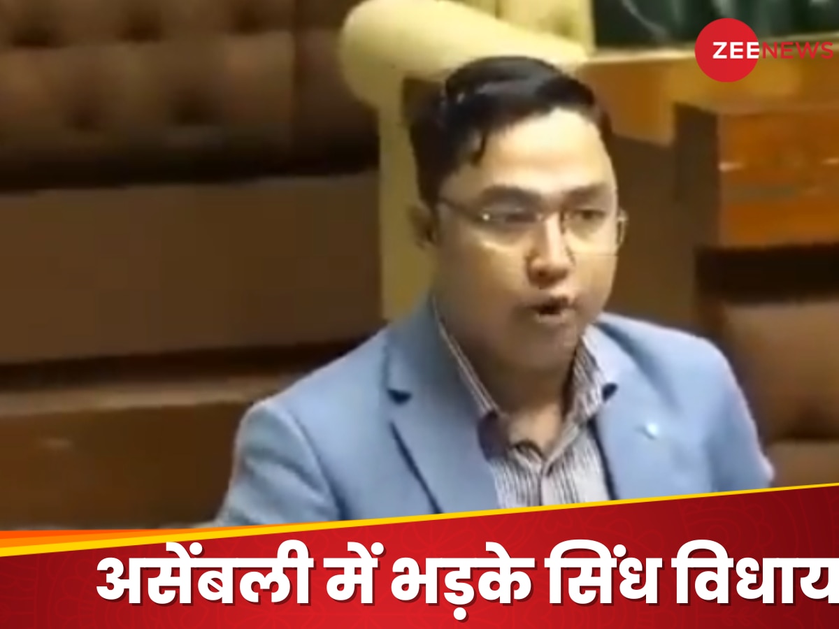 Viral:जितना तुम्हारे पास है उतना तो...', पाकिस्तानी सदन में बिहारी विधायक की गरज, वायरल हुआ वीडियो 