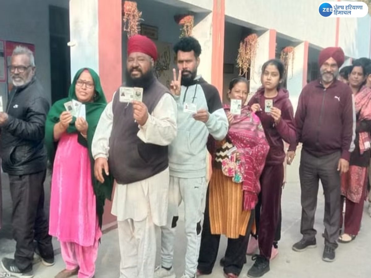 Jalandhar Nagar Nigam Result: ਨਗਰ ਨਿਗਮ ਜਲੰਧਰ ਦੇ ਚੋਣ ਨਤੀਜੇ; ਆਮ ਆਦਮੀ ਪਾਰਟੀ ਨੇ 38 ਵਾਰਡਾਂ 'ਤੇ ਬਣਾਈ ਲੀਡ