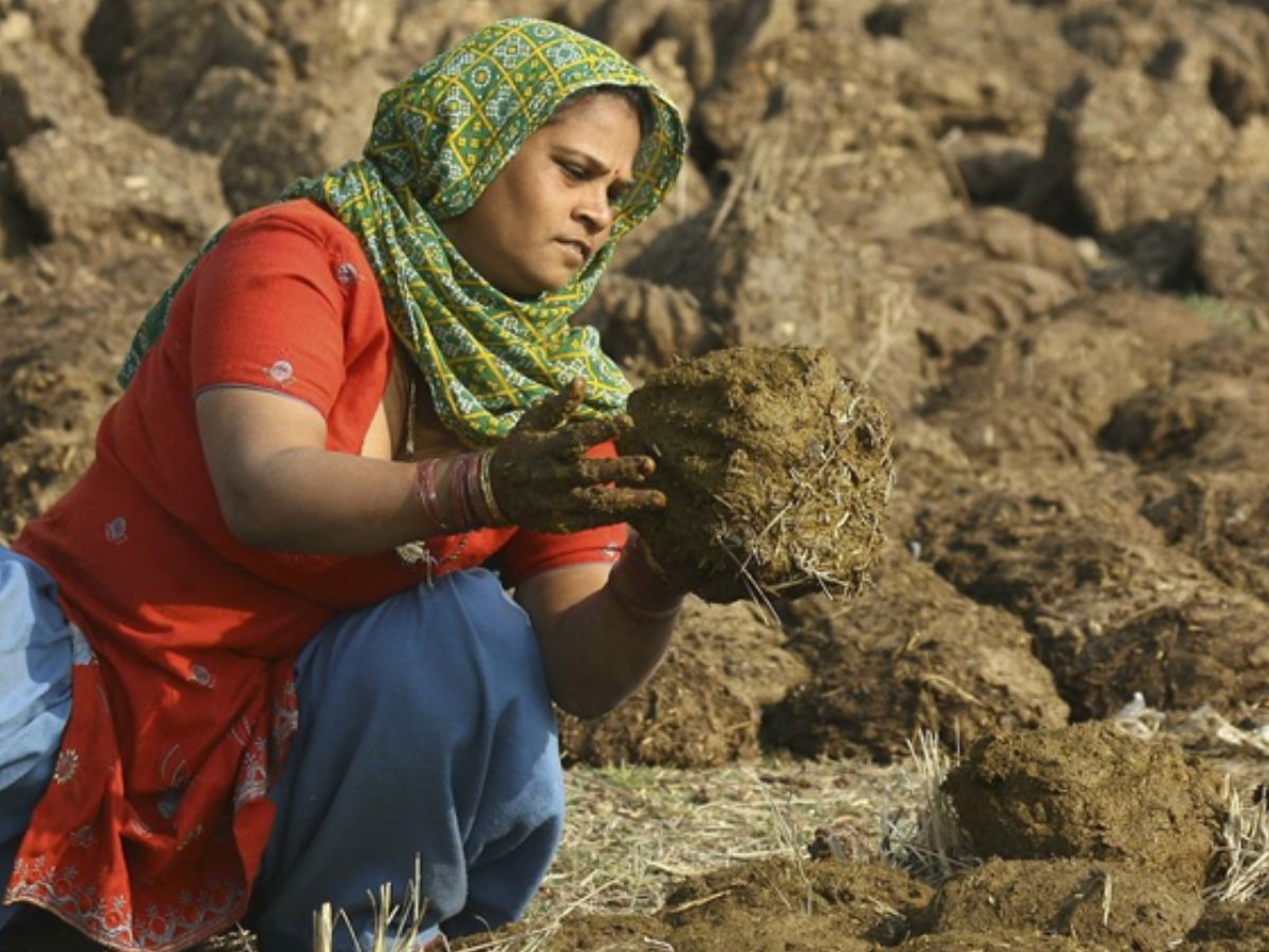 1 किलो गोबर की कीमत