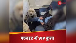 कुत्ते की वजह से बदली पैसेंजर की सीट, डेल्टा एयरलाइंस में 'अच्छे लड़के' पर मचा बवाल