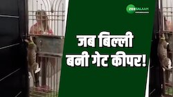 Video: मालिक के आते ही बिल्ली ने खोला गेट, देखकर हैरान हो गए लोग! 