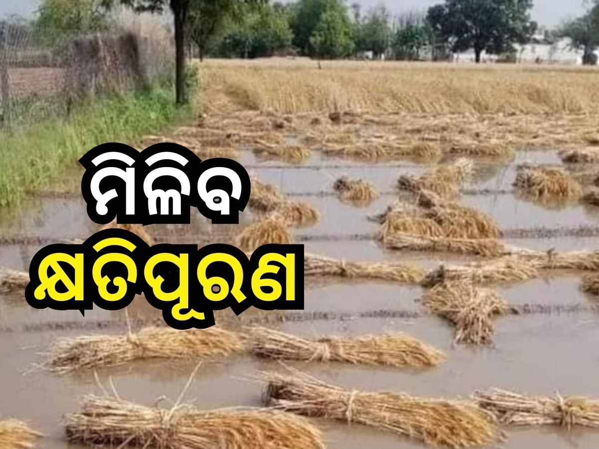 ୩ ଦିନରେ ସରିବ ବର୍ଷା ଜନିତ କ୍ଷୟକ୍ଷତି ଆକଳନ, ମିଳିବ କ୍ଷତିପୂରଣ- ମନ୍ତ୍ରୀ