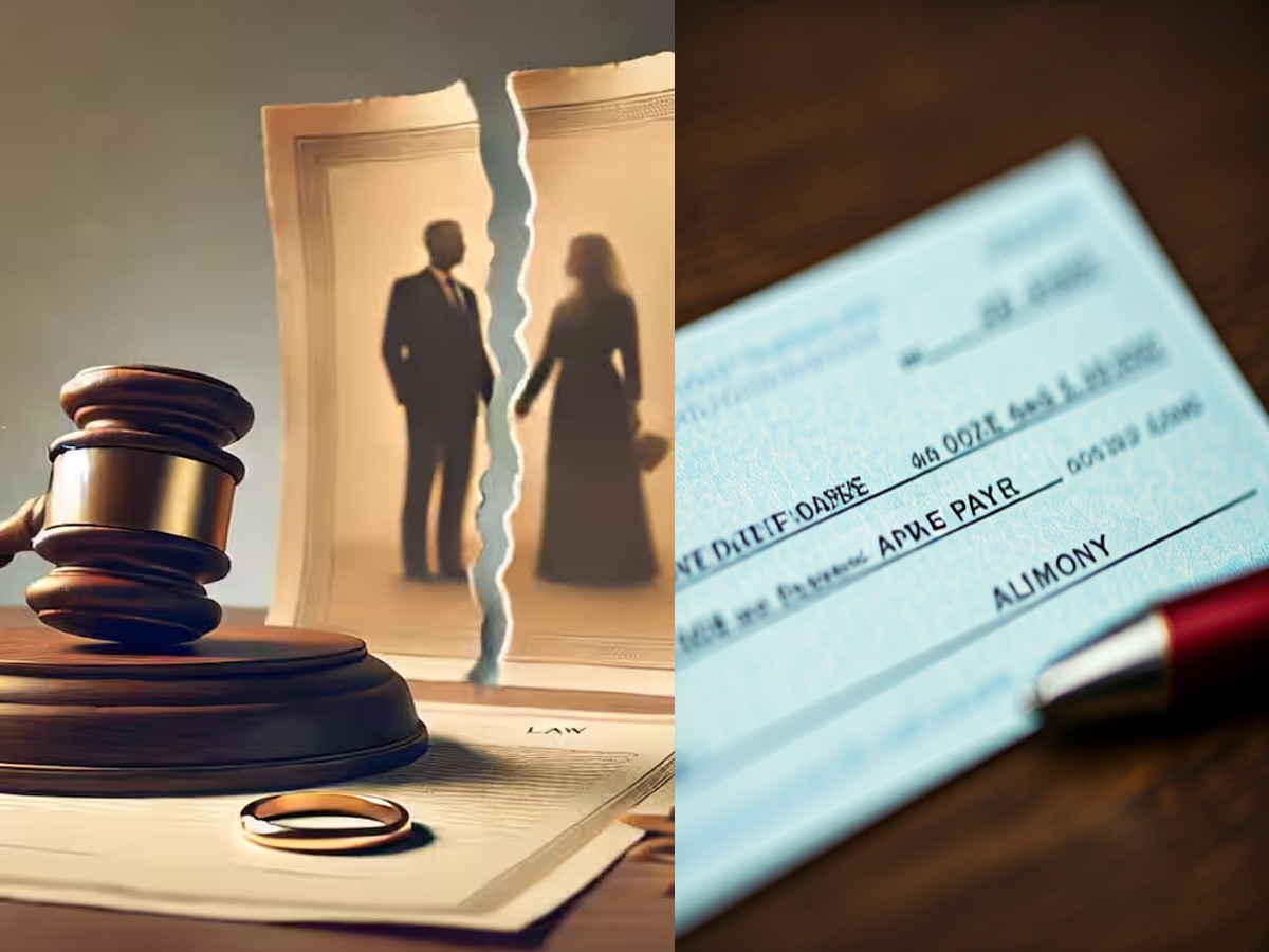 Marriage Alimony: कुछ महीने की शादी... फिर तलाक, पत्नी ने गुजारे के लिए मांगे 500 करोड़; सुप्रीम कोर्ट ने कर दिया फैसला