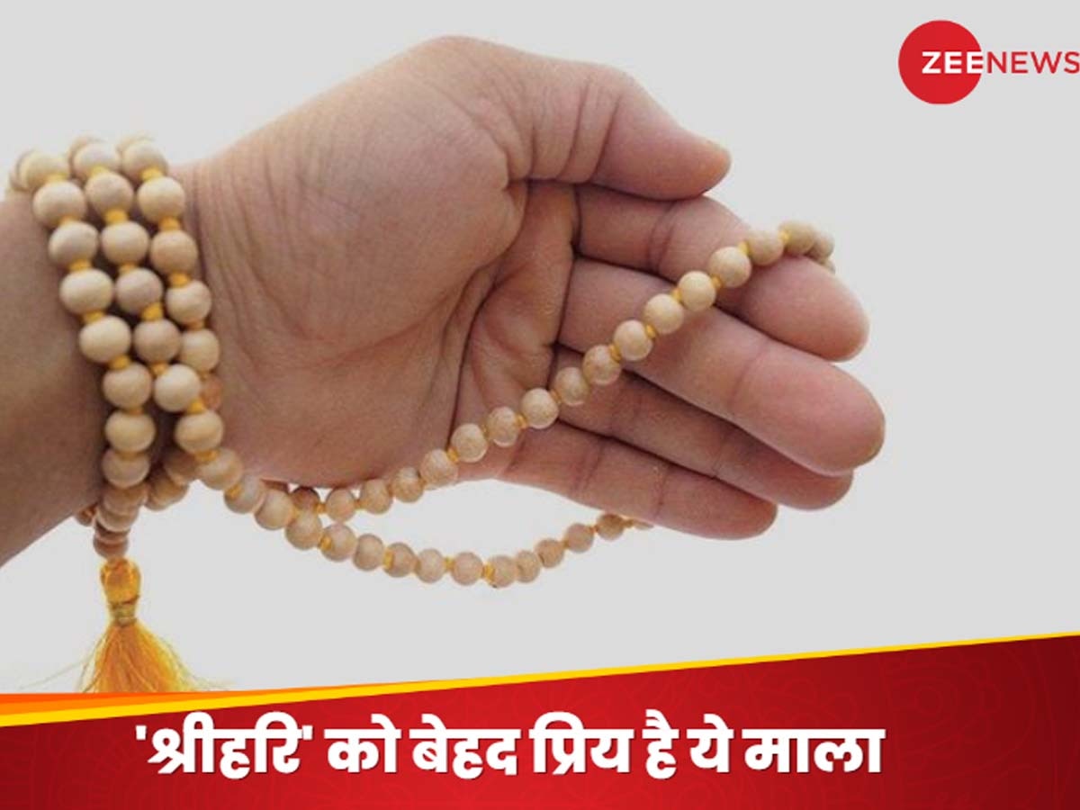 Tulsi ki Mala: बनते काम बिगड़ जाते हैं तो धारण कर लें ये माला? मदद को दौड़े आएंगे भगवान विष्णु, रॉकेट की स्पीड से दौड़ेगा नौकरी-कारोबार 