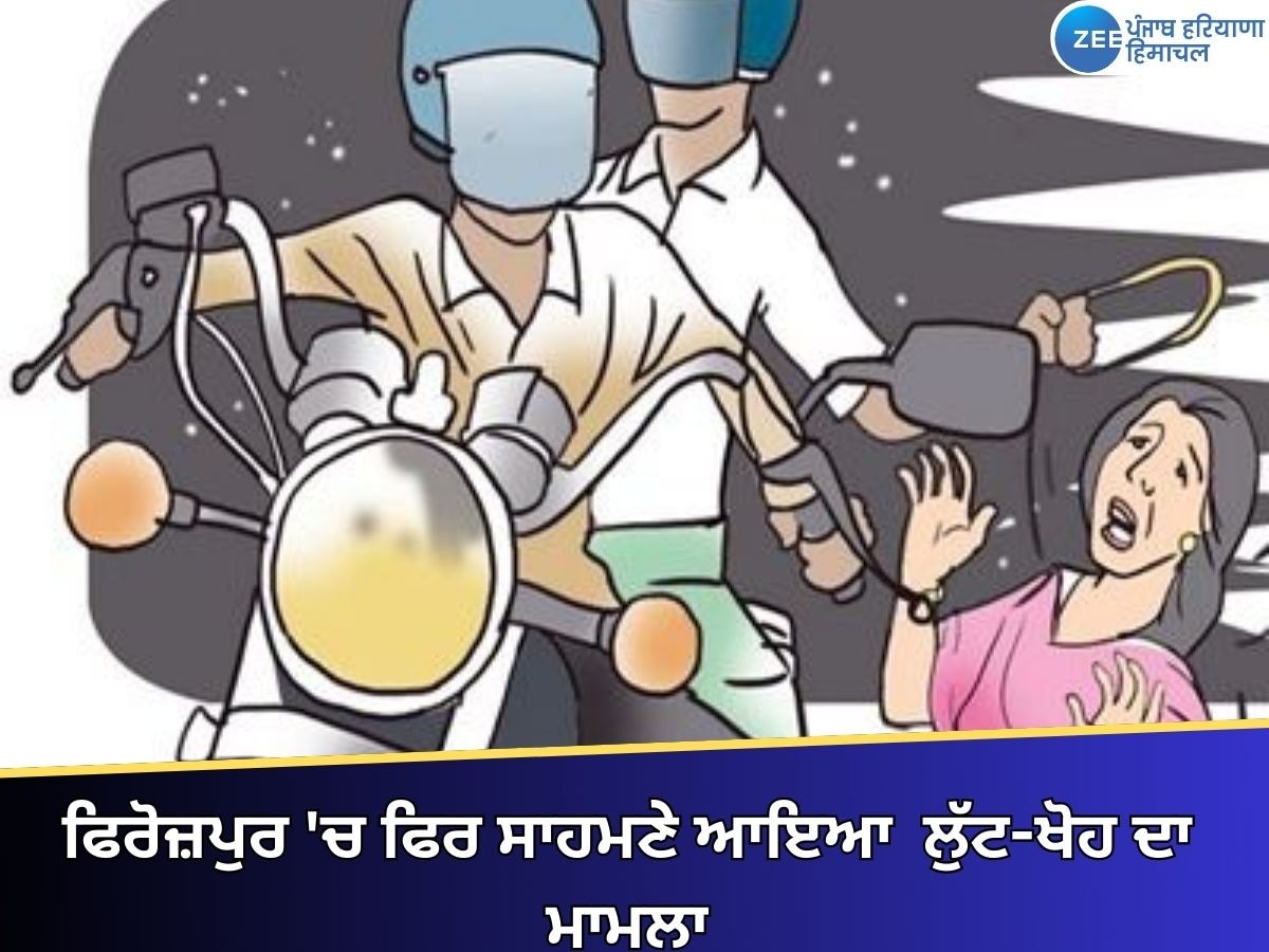 Ferozepur News: ਫਿਰੋਜ਼ਪੁਰ 'ਚ ਫਿਰ ਸਾਹਮਣੇ ਆਇਆ ਲੁੱਟ-ਖੋਹ ਦਾ ਮਾਮਲਾ, ਦਿਨ-ਦਿਹਾੜੇ ਮਹਿਲਾ ਤੋਂ ਮੋਬਾਈਲ ਝਪਟਿਆ