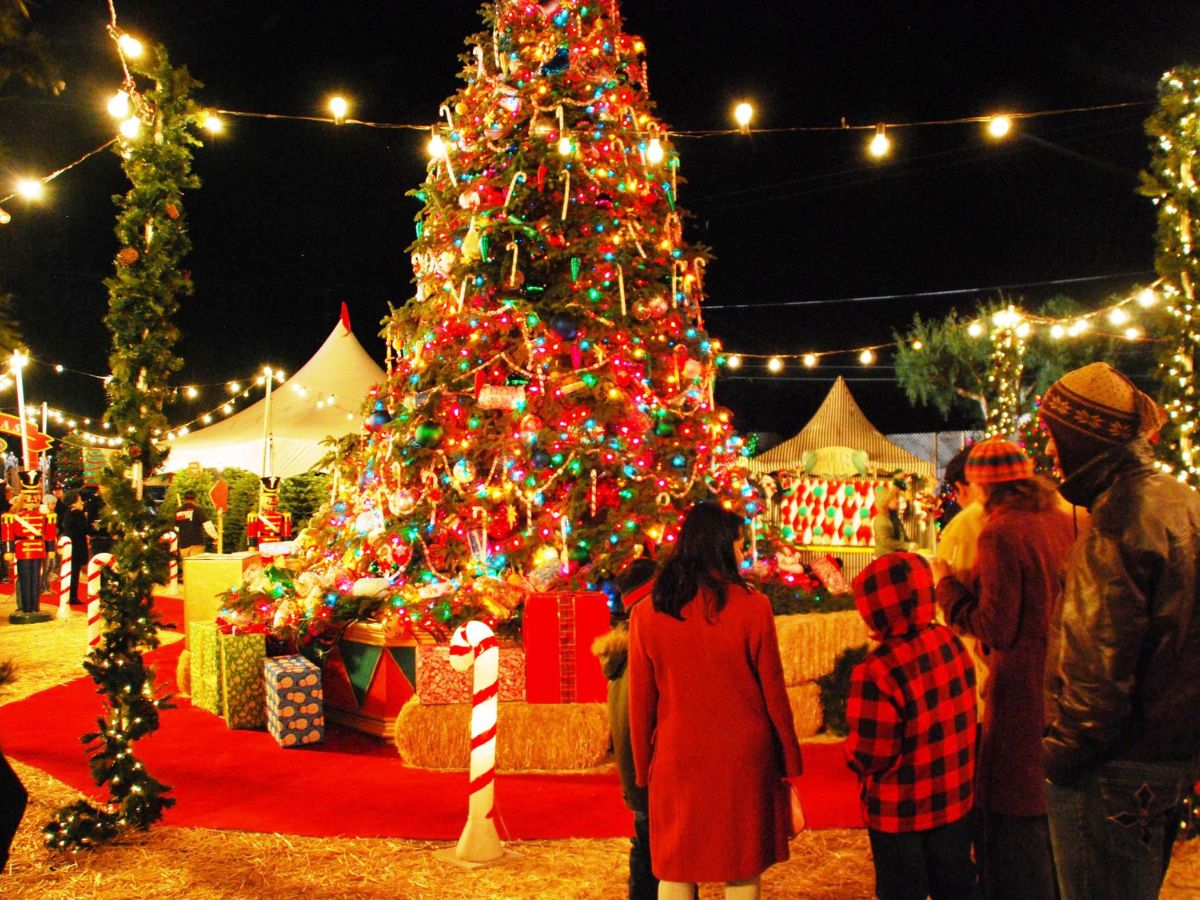 गोवा में इस क्रिसमस गोमांस पर संकट, गौरक्षकों के खिलाफ हड़ताल पर कुरैशी व्यापारी