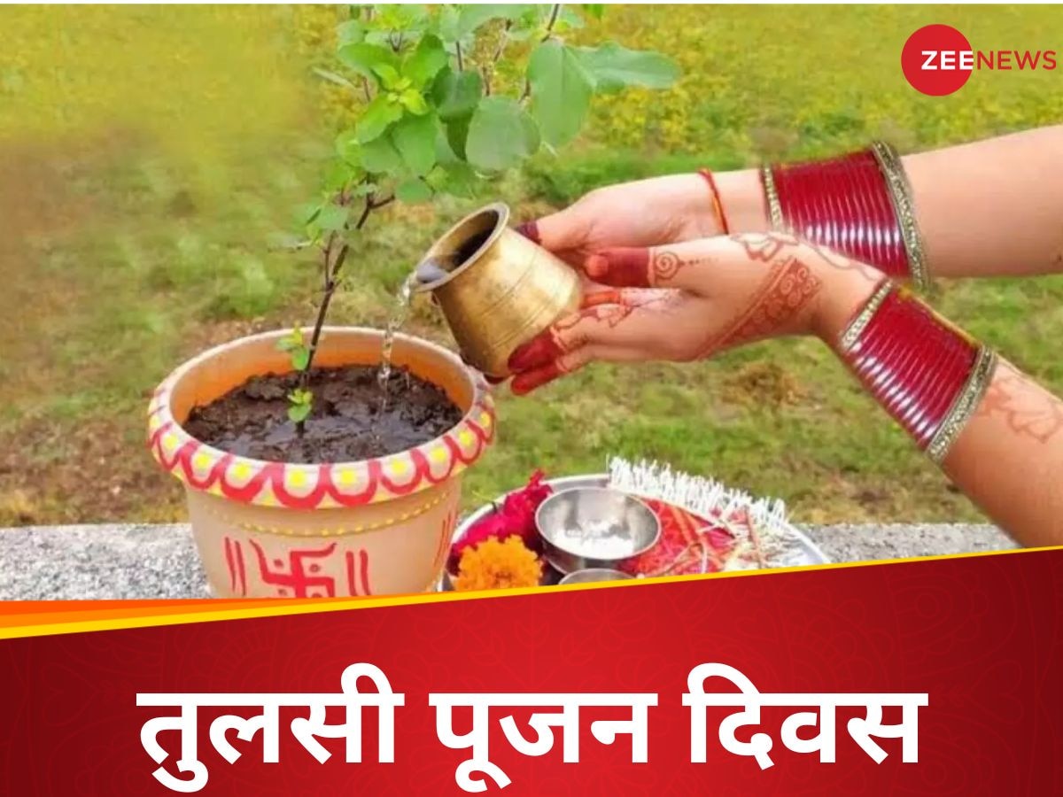 Tulsi Pujan Diwas 2024: तुलसी दिवस पर आज शाम करें ये 3 काम, हमेशा बरसेगी मां लक्ष्मी की कृपा