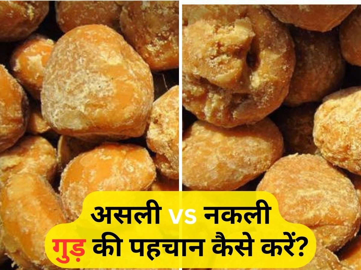 Jaggery Purity Test: असली या नकली गुड़ की पहचान कैसे करें? बाजार से खरीदने से पहले इस तरह पता करें शुद्धता