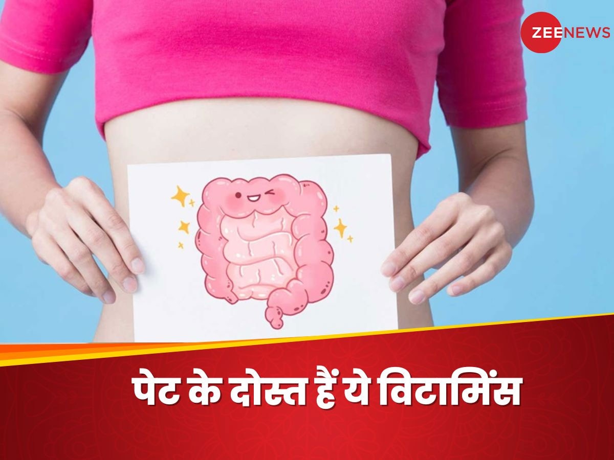 Gut Health: अक्सर खराब रहता है हाजमा, कहीं शरीर में इन विटामिंस की कमी तो नहीं?