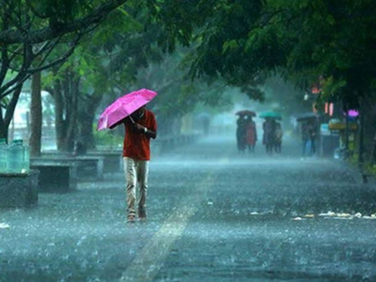 Weather Update: ଆଜି ବି ଭିଜିବ ଓଡି଼ଶା, ପ୍ରବଳ ବର୍ଷା ନେଇ ୮ ଜିଲ୍ଲାକୁ ୟେଲୋ 