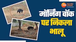  Bhalu Ka Video: पहाड़ से कॉलेज में आया भालू, कांकेर में दिखी चहलकदमी; देखिए वीडियो