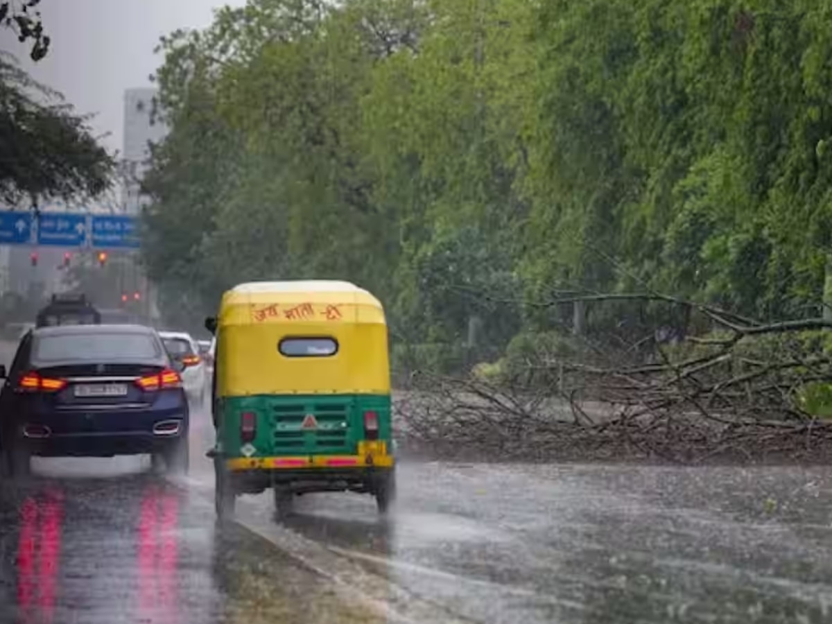 Delhi NCR Weather: दिल्ली-एनसीआर में बारिश का येलो अलर्ट! घने कोहरे और बारिश का होगा सामना