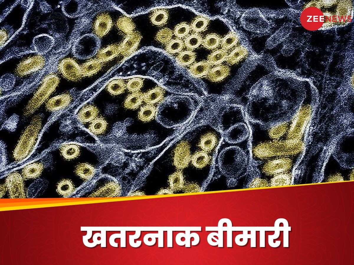 Influenza A: कौन सा रोग 2025 में बन सकता है सबसे बड़ी समस्या?