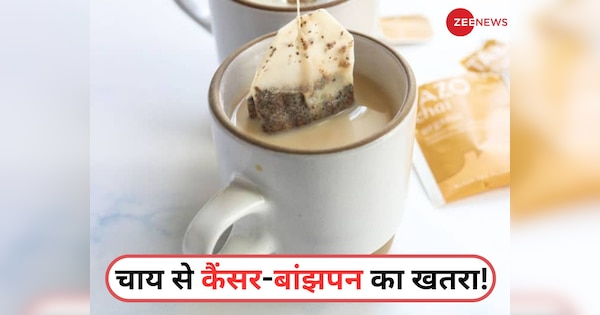 चाय के शौकीन हो जाएं सावधान! Tea Bag से कैंसर और बांझपन का खतरा, एक्सपर्ट्स की बड़ी चेतावनी