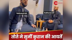 कुरान की आयतें सुनकर तोते ने दिखाया हैरान करने वाला हुनर, यूजर्स कर रहे हैं तारीफ