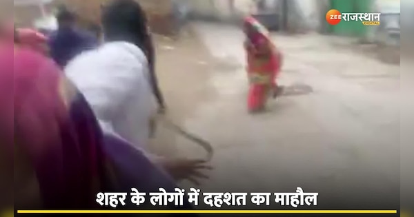 Viral Video Panic spread among people due to entry of panther in middle of Alwar city | Panther Video: शहर के बीचों-बीच घुसा पैंथर, लोगों में दहशत का माहौल, देखें वीडियो | Zee News Hindi