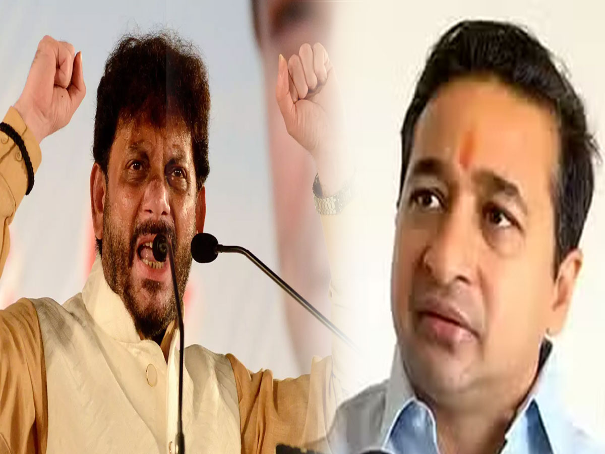 Pakistan Rane Nitesh Rane Mini Pakistan statement AIMIM leader Waris Pathan | नितेश ...