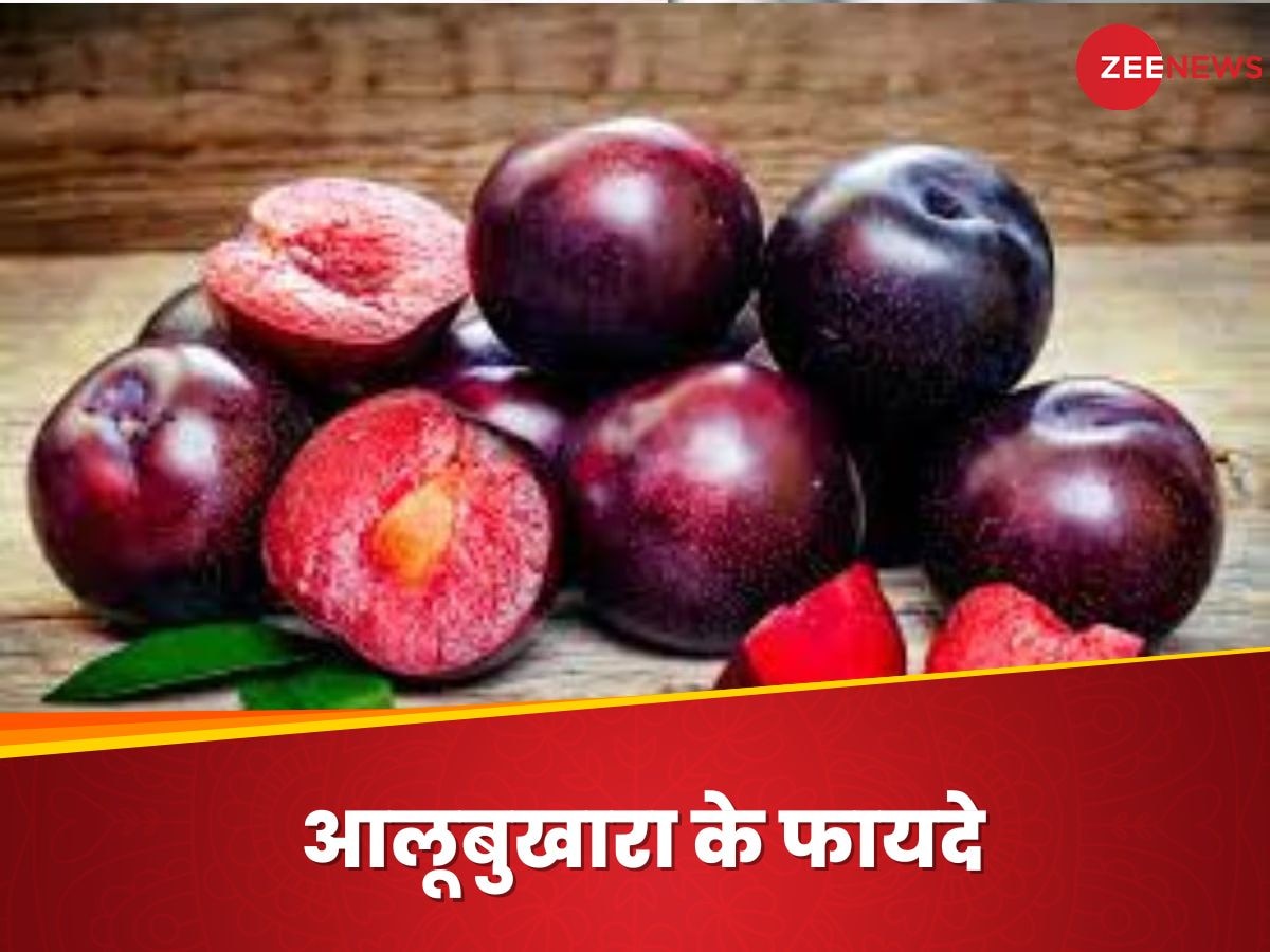 Plum Benefits: हमें रोजाना क्यों खाना चाहिए आलूबुखारा? जान लें इसे 5 जबरदस्त फायदे