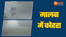 Latest News on मंदसौर | Read Breaking News on मंदसौर | Zee News Hindi
