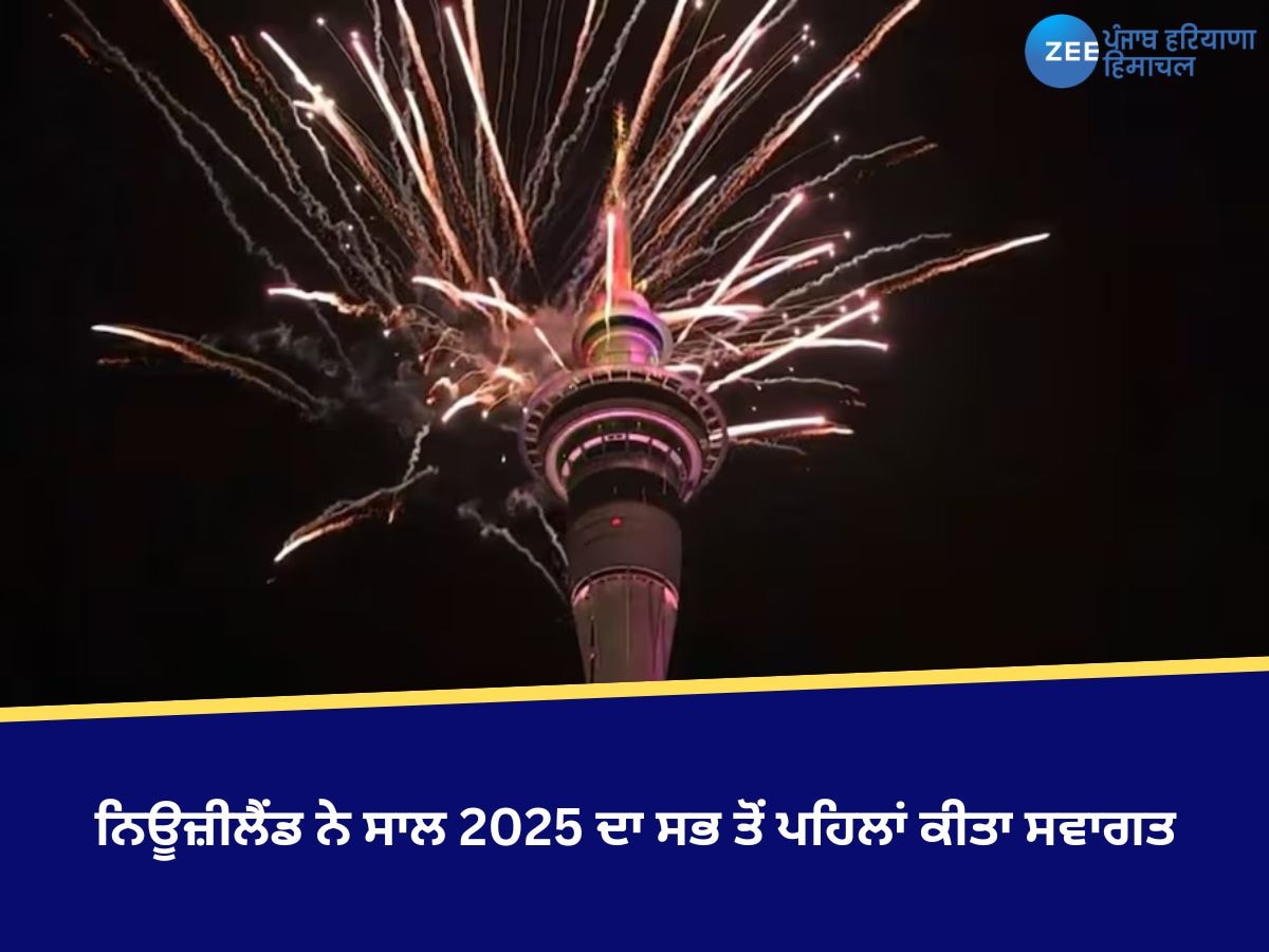 Happy New Year 2025: ਨਿਊਜ਼ੀਲੈਂਡ ਨੇ ਸਾਲ 2025 ਦਾ ਸਭ ਤੋਂ ਪਹਿਲਾਂ ਕੀਤਾ ਸਵਾਗਤ, ਆਕਲੈਂਡ ਦੇ ਸਕਾਈ ਟਾਵਰ 'ਤੇ ਕੀਤੀ ਆਤਿਸ਼ਬਾਜ਼ੀ