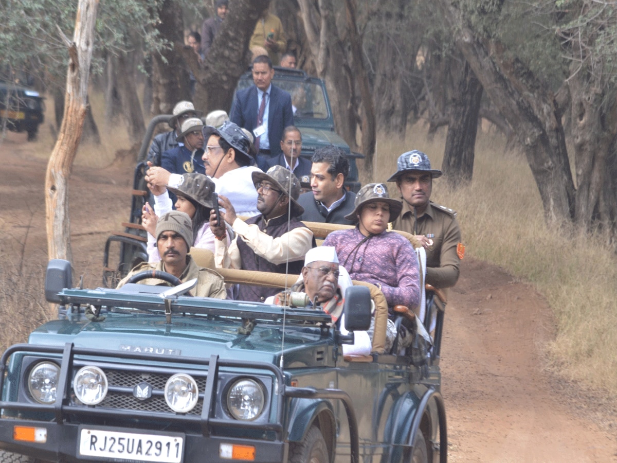 Sawai Madhopur News: राज्यपाल हरिभाऊ बागडे का रणथंभौर दौरा, खुली जिप्सी में सवार होकर किया भ्रमण 