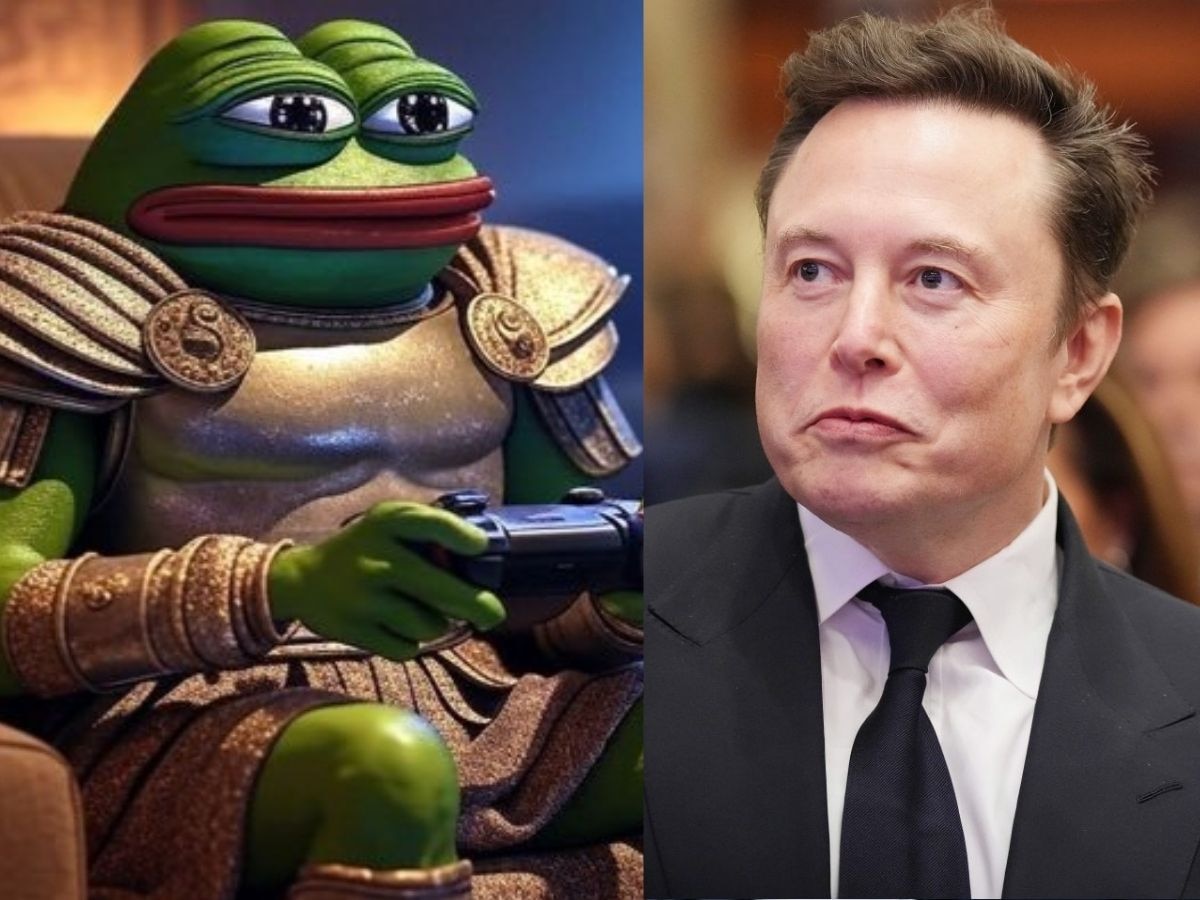 elon musk change on x become kekius maximus what is it | अच्छा खासा नाम  छोड़कर X पर Kekius Maximus क्यों बन गया सबसे अमीर आदमी? मस्क भैया का खेल  समझिए |